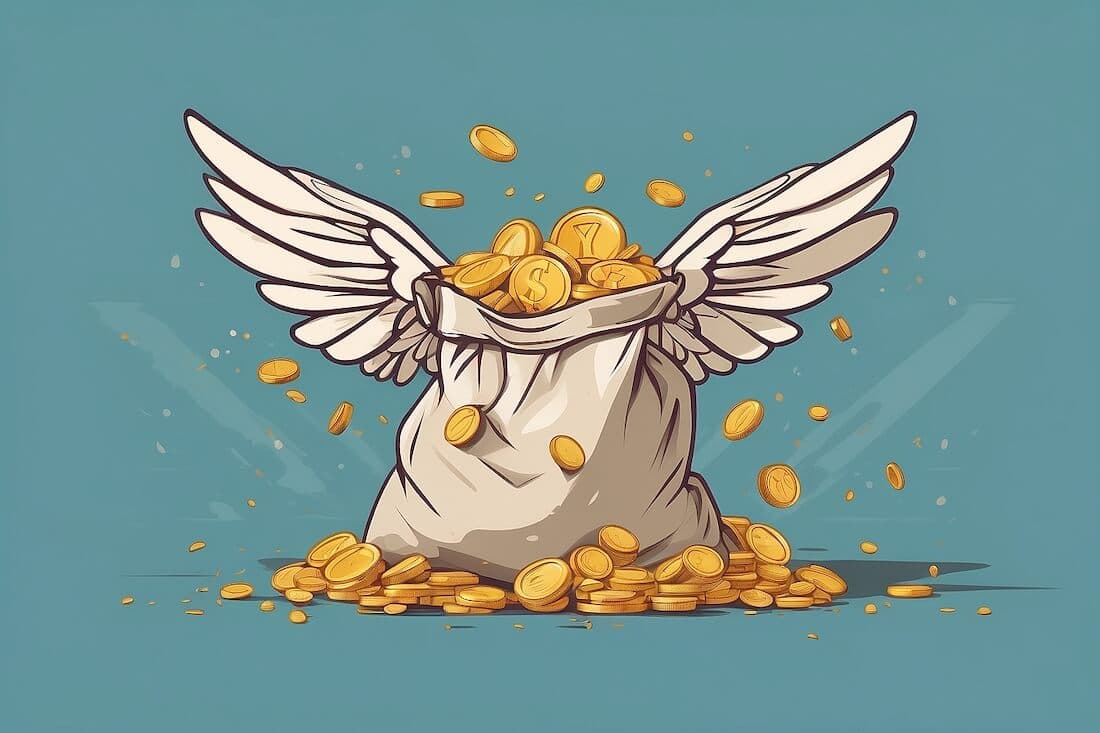 Money sack with wings